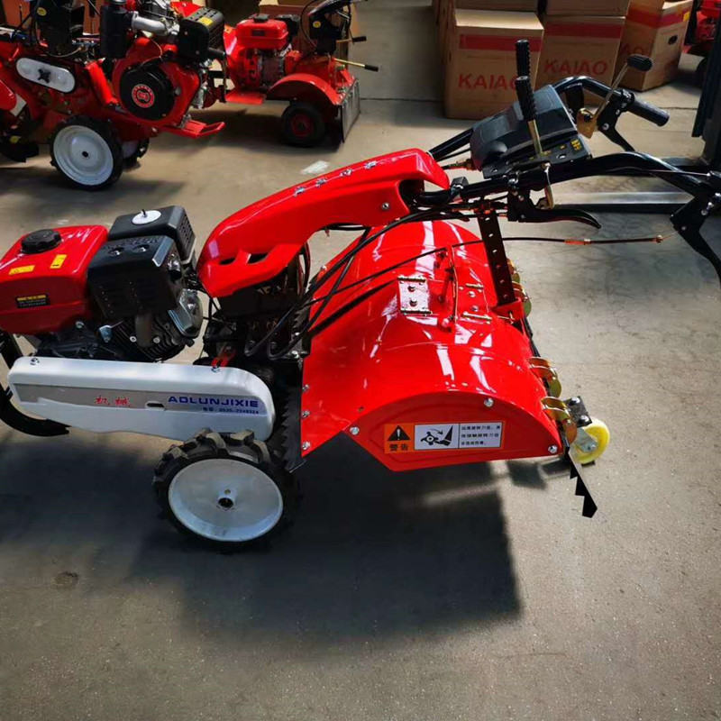 微信圖片_20200618202502_副本