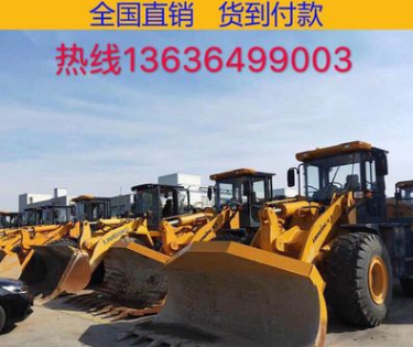 上?，F(xiàn)場真品鏟車裝載機(jī)30/50裝載機(jī)，供應(yīng)龍工臨工柳工