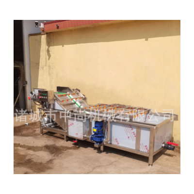 全自動噴淋式蔬菜清洗機 臭氧果蔬清洗機 凈菜全套流水線設備廠家