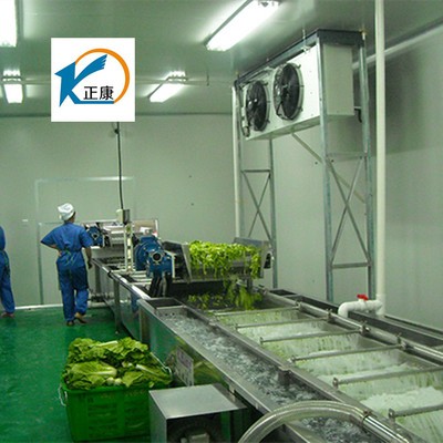 氣泡清洗機(jī),果蔬清洗機(jī),高壓噴淋清洗機(jī),橙子清洗機(jī)13869639035