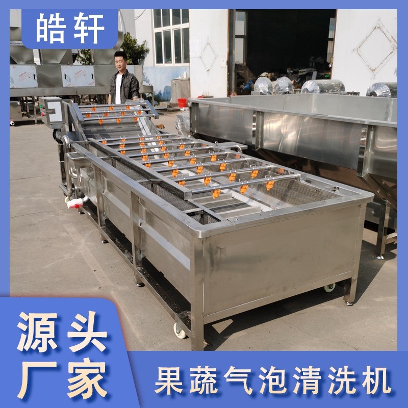 全自動果蔬蔬菜清洗機 氣泡式噴淋豆角蘿卜清洗機 洗菜機設備