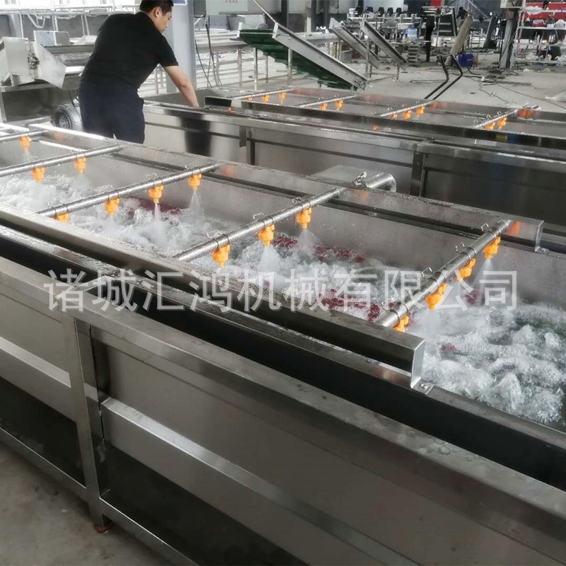 紅棗全自動清洗機 鮮棗水果氣泡清洗線 連續洗棗機器廠家