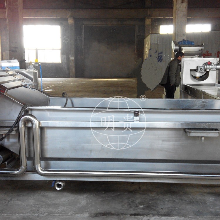 秋葵蘿卜片漂洗冷卻線 自動果蔬鼓泡式清洗機 帶毛輥可除毛發