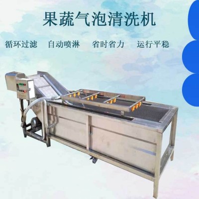 全自動果蔬清洗機 噴淋式蘋果氣泡清洗流水線 白菜西紅柿清洗機設