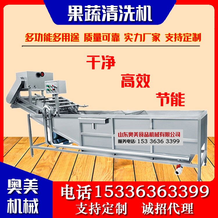 不銹鋼果蔬清洗機 蔬菜氣泡清洗機 水果蔬菜清洗加工設備廠家