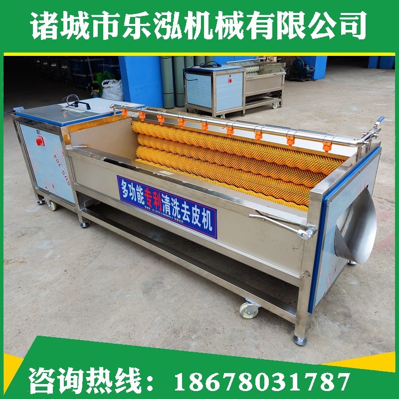 毛輥毛刷根莖去皮機定制土豆紅薯果蔬去皮清洗機 商用毛輥清洗機