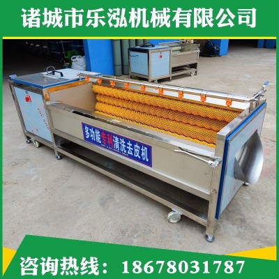 毛輥毛刷根莖去皮機定制土豆紅薯果蔬去皮清洗機 商用毛輥清洗機