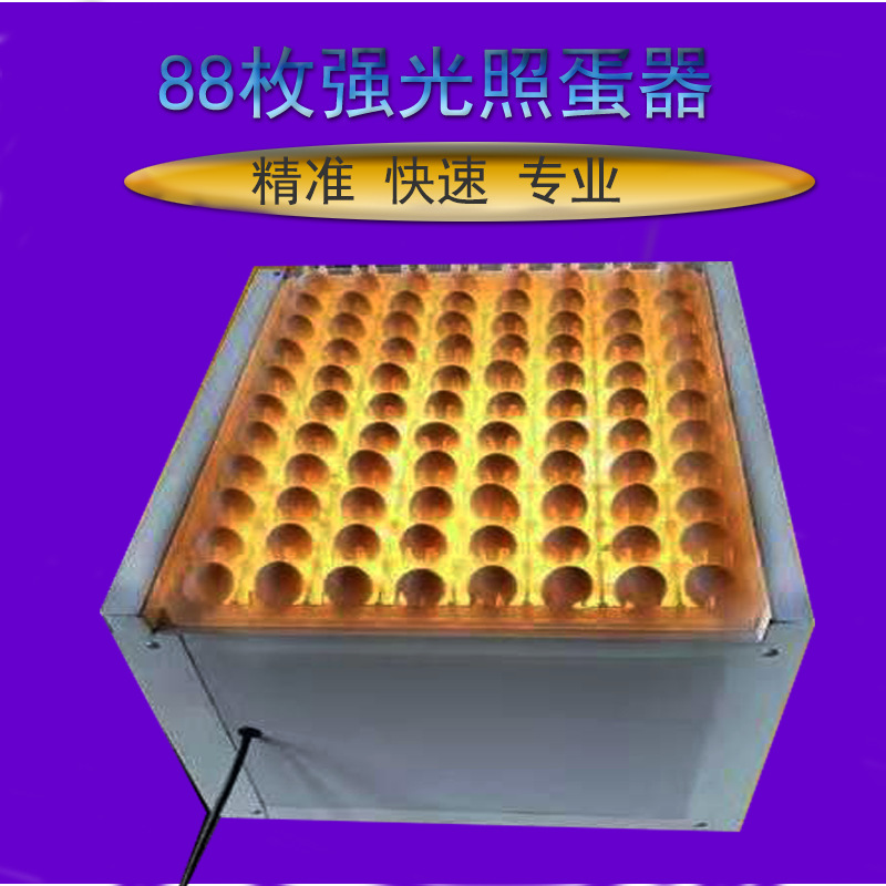 88枚照蛋器4
