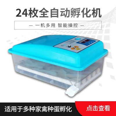 廠家代發24枚自動迷你孵化機智能家用小型孵化設備egg incubator