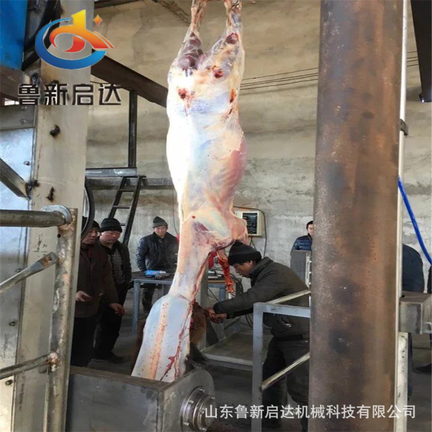 毛驢屠宰設(shè)備,毛驢宰殺設(shè)備,宰毛驢設(shè)備,殺毛驢設(shè)備