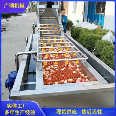 全自動氣泡葡萄清洗機 無花果清洗設備 大棗蘋果桃子清洗機器