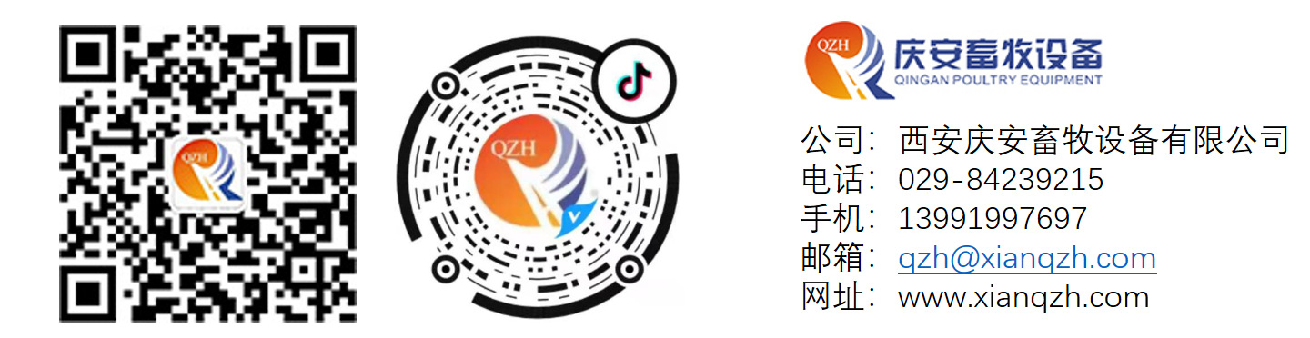 (第三行第二張)