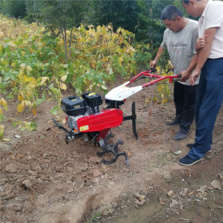 汽油耕地趟田機(jī)