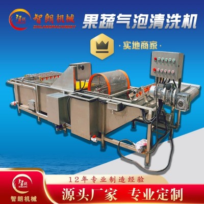 果蔬氣泡清洗機 全自動連續(xù)式清洗設備 去雜汽泡清洗機廠家