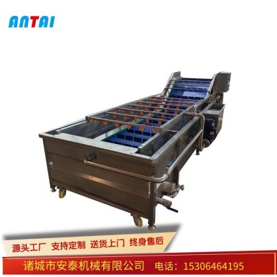 胡蘿卜毛輥去皮清洗機 土豆毛刷清洗機 芹菜連續(xù)水浴氣泡清洗機