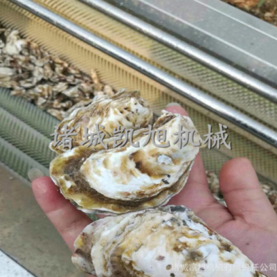 海蠣子清洗機 軟刷頭硬毛刷海鮮清洗設備 毛刷毛輥清洗脫皮機