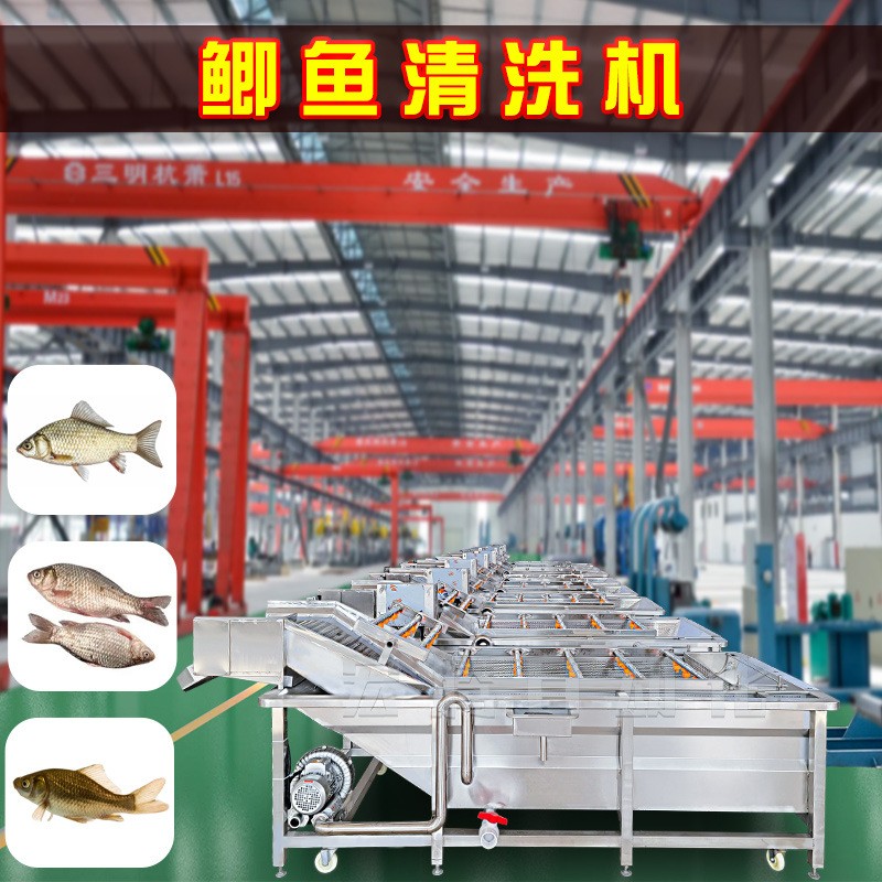 鯽魚清洗加工流水線 全自動鯽魚氣泡清洗機 海產品噴淋清洗設備