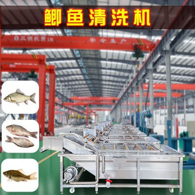鯽魚清洗加工流水線 全自動鯽魚氣泡清洗機 海產品噴淋清洗設備