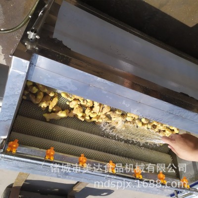 商用 果蔬去皮清洗機(jī) 全自動毛輥毛刷土豆芋頭去皮清洗設(shè)備機(jī)