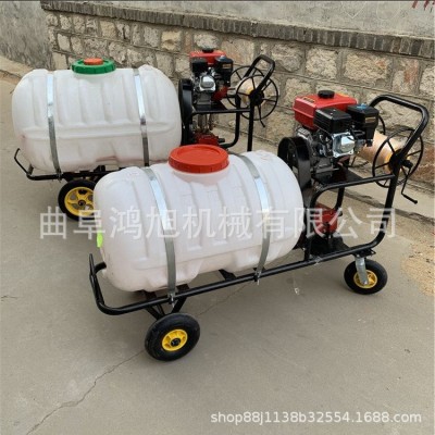 汽油手推式噴霧器 電動果園殺蟲機(jī) 大棚拉管式噴藥機(jī)