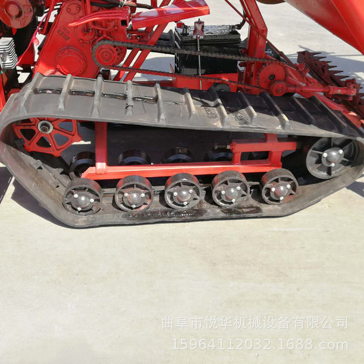 10895748484_1990170767