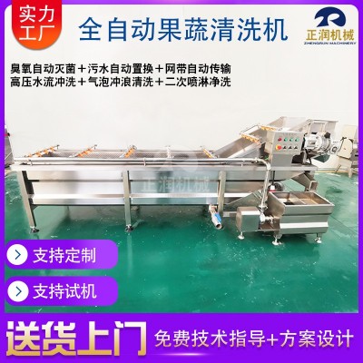 現(xiàn)貨商用果蔬白菜清洗機(jī) 全自動凈菜加工設(shè)備 洗蔬菜水果的清洗機(jī)