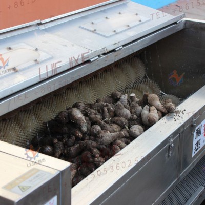 南瓜花生清洗去皮機 土豆紅薯毛刷清洗去皮機哪家好