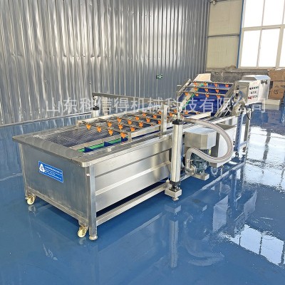 科信得專業生產 凈菜加工清洗線 氣泡渦流 蘑菇香菇氣泡清洗機