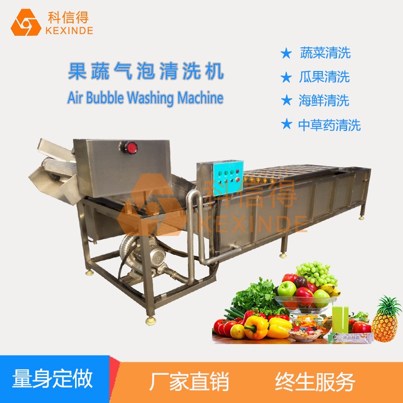 科信得專業(yè)生產(chǎn) 果蔬噴淋式氣泡清洗設(shè)備 全自動蔬菜清洗機