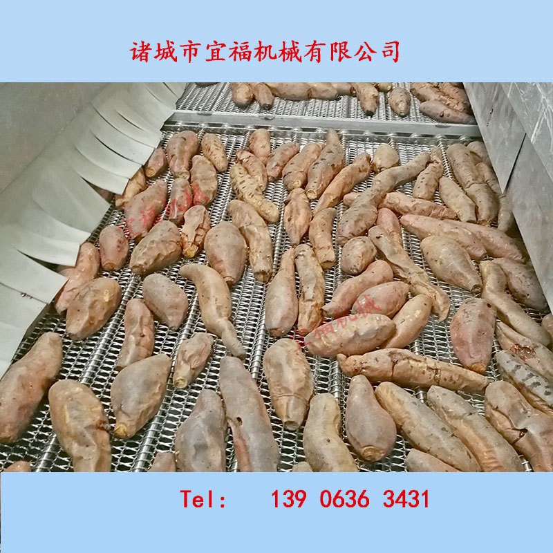 諸城紅薯清洗機,烤地瓜清洗流水線,宜福不破皮紅薯清洗烘烤機廠家