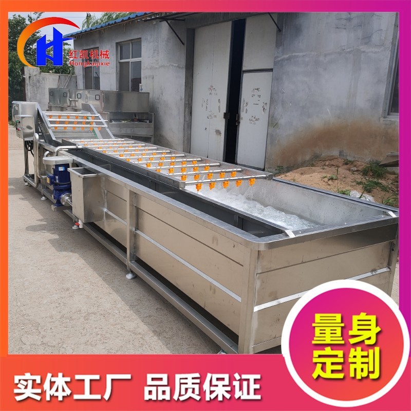 供應鼓泡式清洗設(shè)備 蒜米漂皮清洗機 全自動桃子噴淋式清洗機