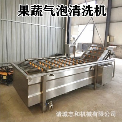 農(nóng)副產(chǎn)品果蔬氣泡清洗機 中藥材噴淋清洗設備