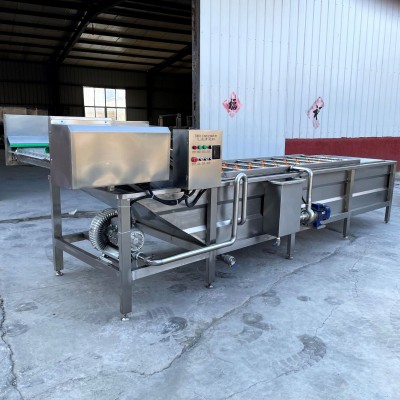 果蔬氣泡清洗加工設(shè)備 油菜氣泡清洗機(jī) 氣泡清洗機(jī) 水果蔬菜清洗