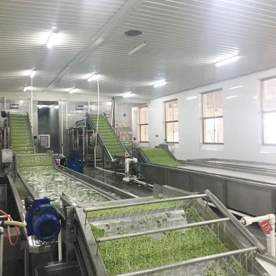 全自動(dòng)果蔬清洗機(jī)大型商用氣泡清洗線玉米蔬菜全自動(dòng)清洗線廠家