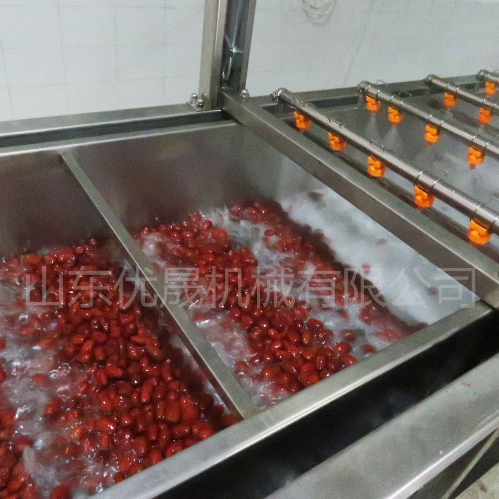 全自動(dòng)果蔬氣泡清洗機(jī) 水果清洗機(jī) 葡萄干椰棗清洗機(jī)