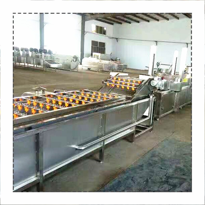 廠家生產(chǎn)果蔬清洗機(jī) 桑葉清洗機(jī) 大白菜辣椒氣泡噴淋清洗機(jī)