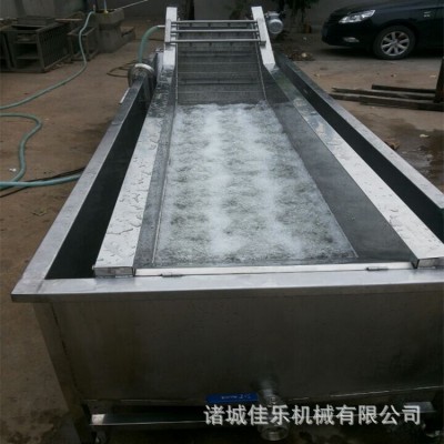 生產(chǎn)果蔬氣泡清洗機 食堂用臭氧殺菌果蔬清洗機 全自動洗菜機