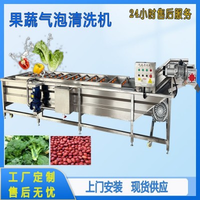 氣泡清洗山野菜加工設備薺菜翻浪鼓泡清洗機桑葉清洗機