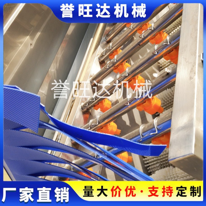 冰糖橙清洗風(fēng)干去水打蠟流水線 柑橘清洗流水線 汽泡洗橘子機(jī)器