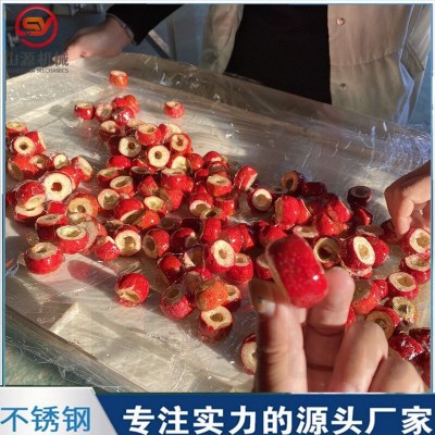 凍干冰糖葫蘆裹糖機 全自動上糖漿機設備 嘎嘣脆空心山楂上糖機