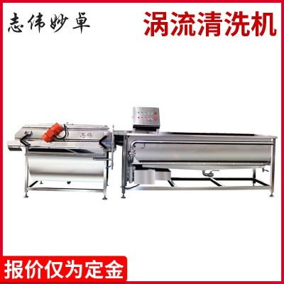 渦流洗菜機(jī) 果蔬氣泡清洗機(jī) 自動(dòng)洗菜機(jī)渦流震動(dòng)瀝水洗菜機(jī)