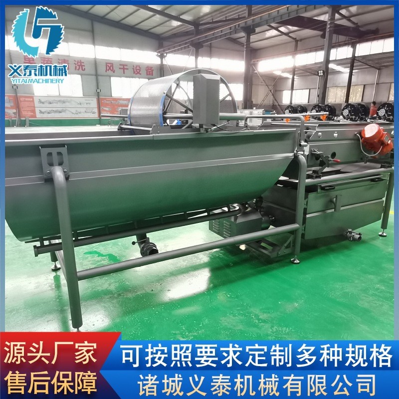 芹菜段渦流清洗機 全自動果蔬清洗機設(shè)備 供應(yīng)薄荷葉渦流清洗機