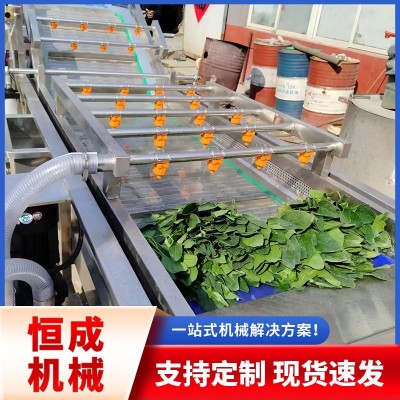 蔬菜水果氣泡清洗機胡蘿卜翻浪去泥清洗設備辣椒清洗線廠家優(yōu)惠