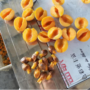 mmexport1653905735308