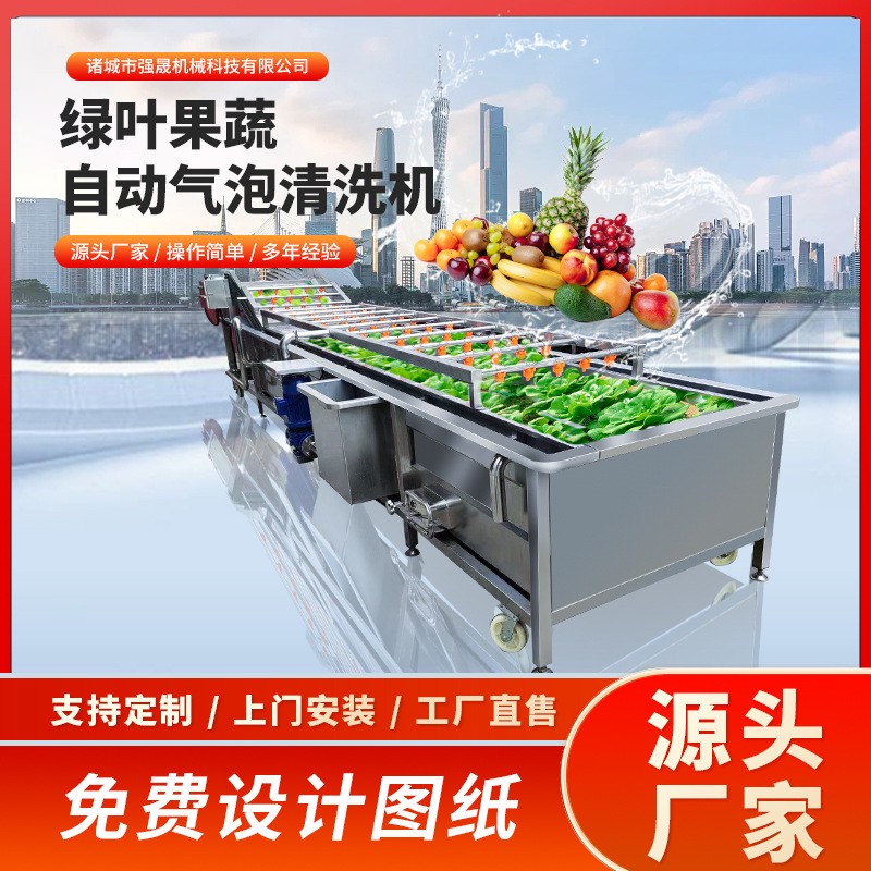 多功能全自動果蔬蔬菜清洗機氣泡式噴淋豆角清洗機洗菜機設備廠家