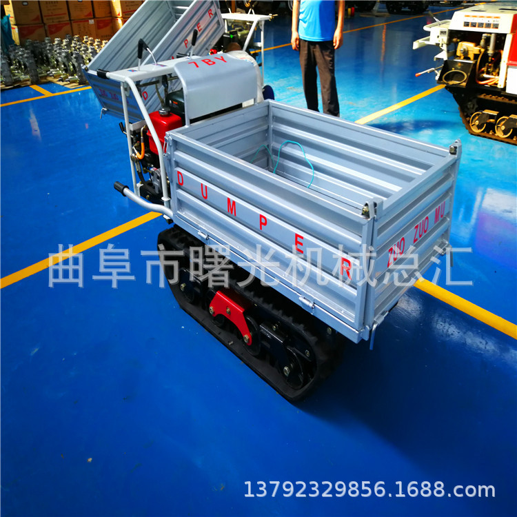 3975243971_1378716677