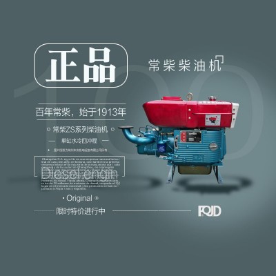 正宗常柴牌單缸柴油機(jī)ZS1115，1110，1100手啟動/電啟動