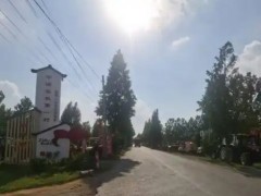 臨沂市郯城縣勝利鎮(zhèn)：二手農(nóng)機(jī)產(chǎn)業(yè)“換擋提速”正當(dāng)時(shí)