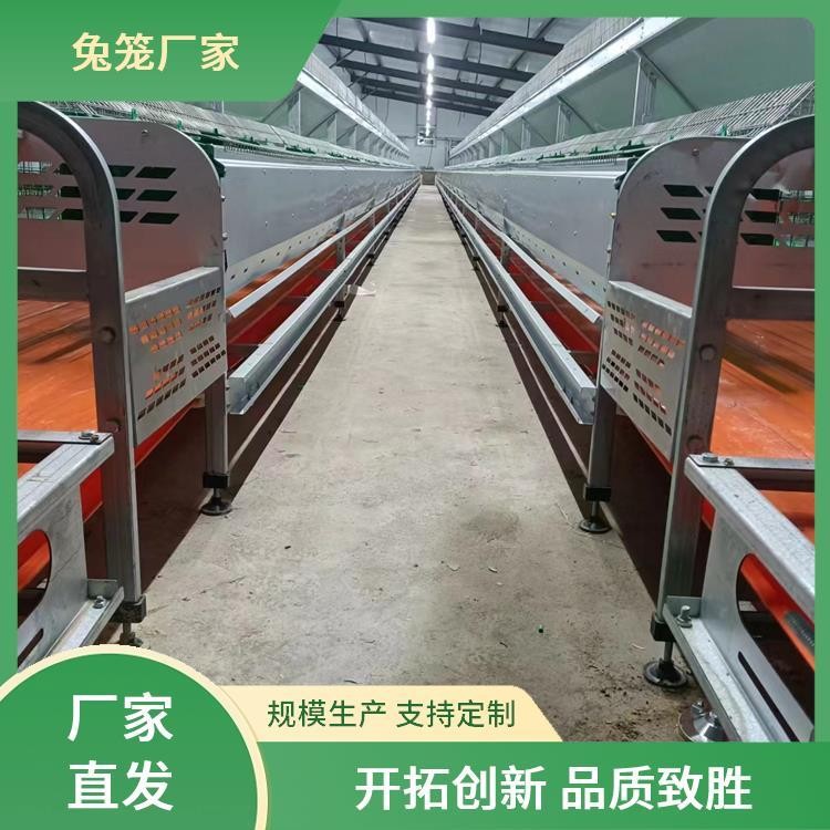 新勝順畜牧設備 提供種兔 肉兔子籠子 透光性好 提高產(chǎn)量