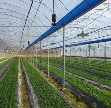 福州雨順灌溉設(shè)備廠家-福州果園自動打藥設(shè)備（面議）